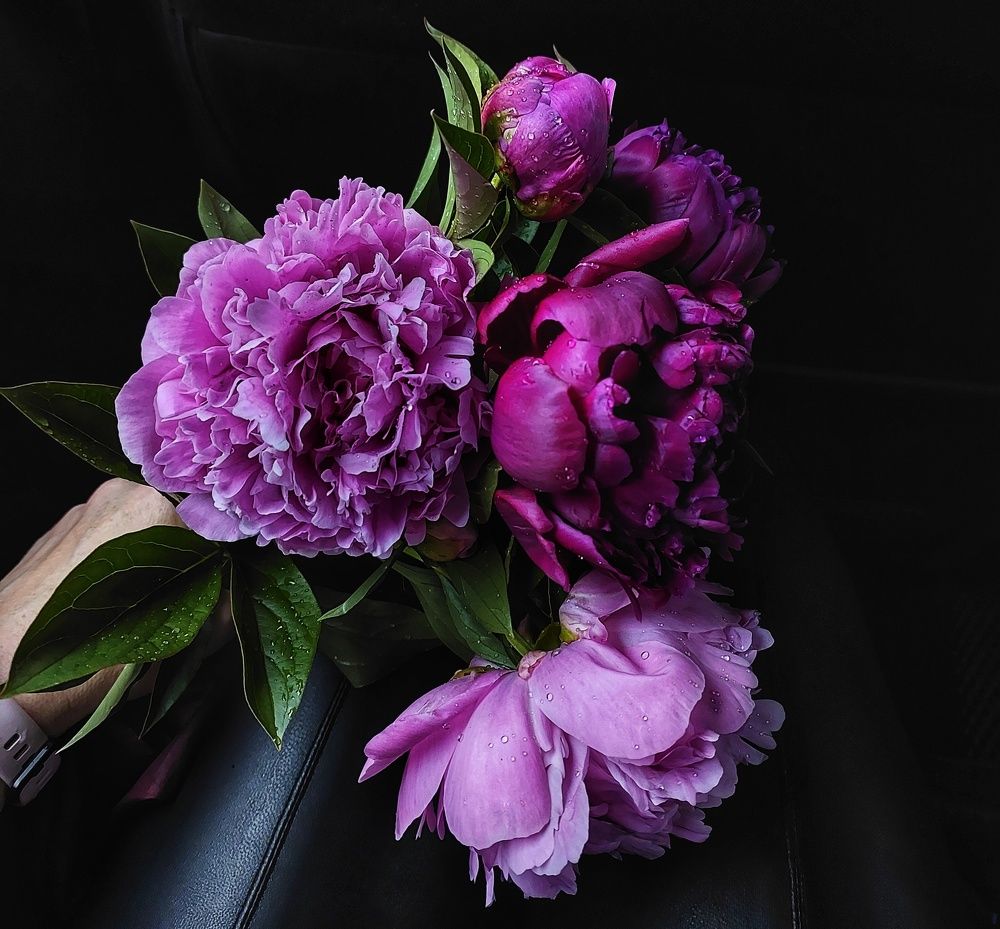 Photograph by Юлия Коробкова