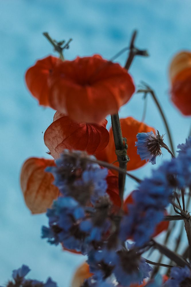 Photograph by Синицын Дмитрий