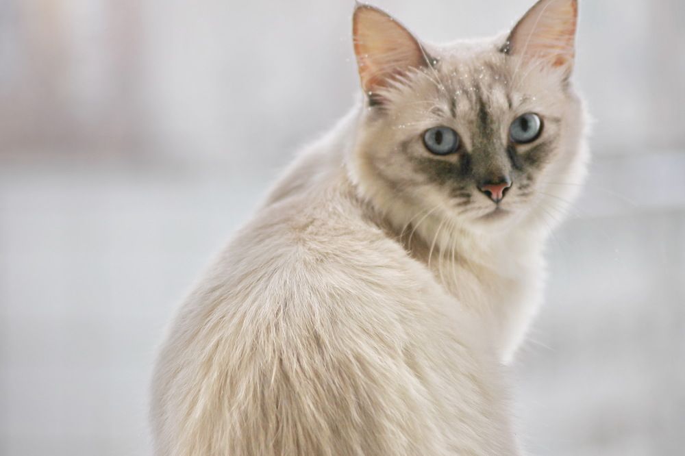 Photograph by Александр Гришин