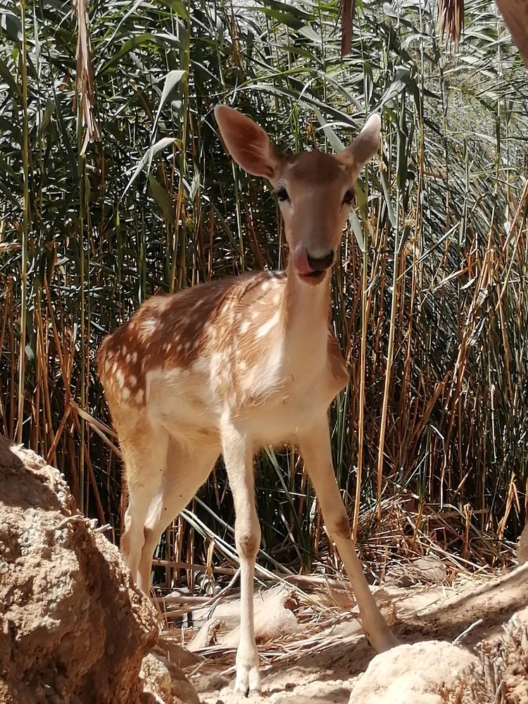Photograph by aya eissa