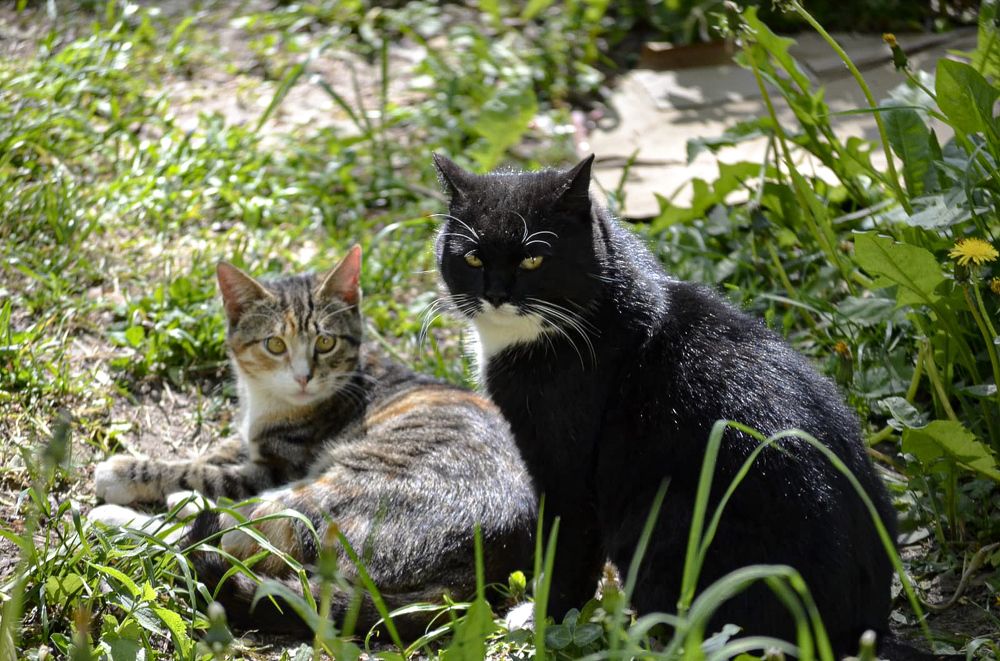 Photograph by Дарья Маркина