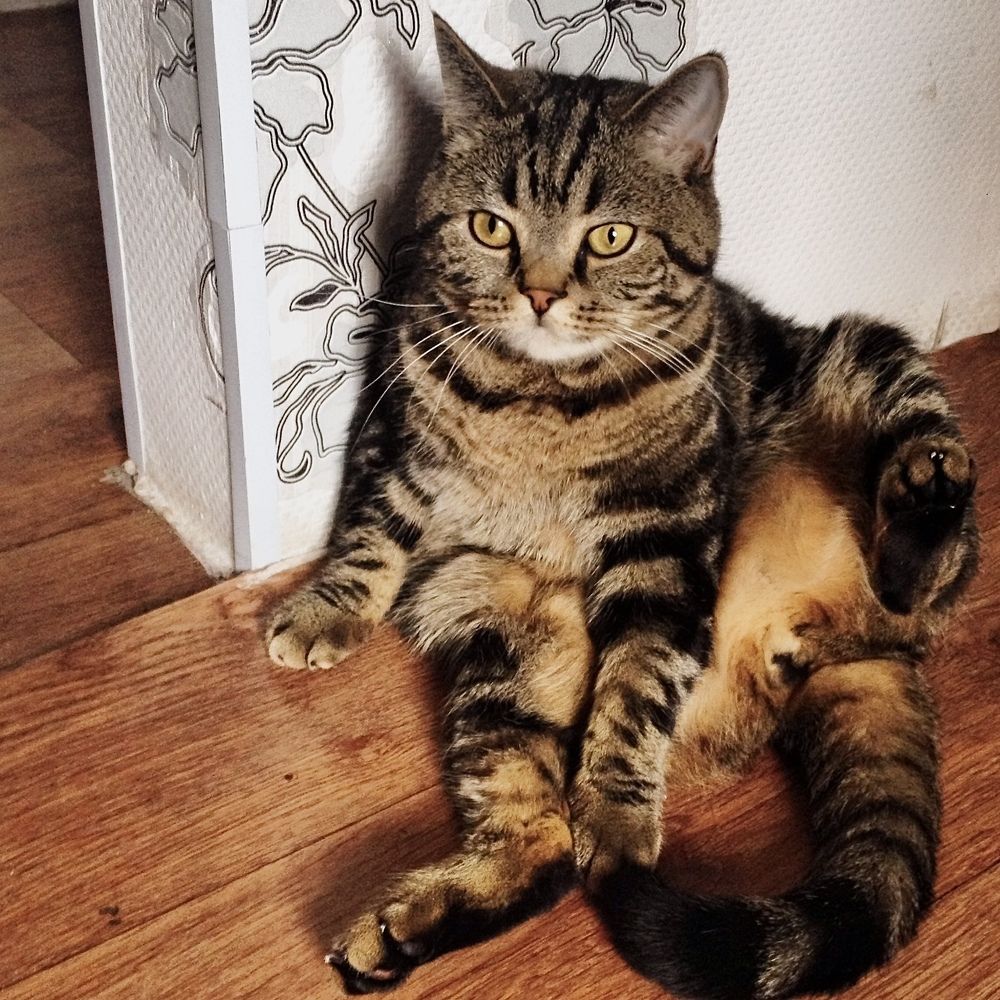 Фотография автора Gala Timaeva