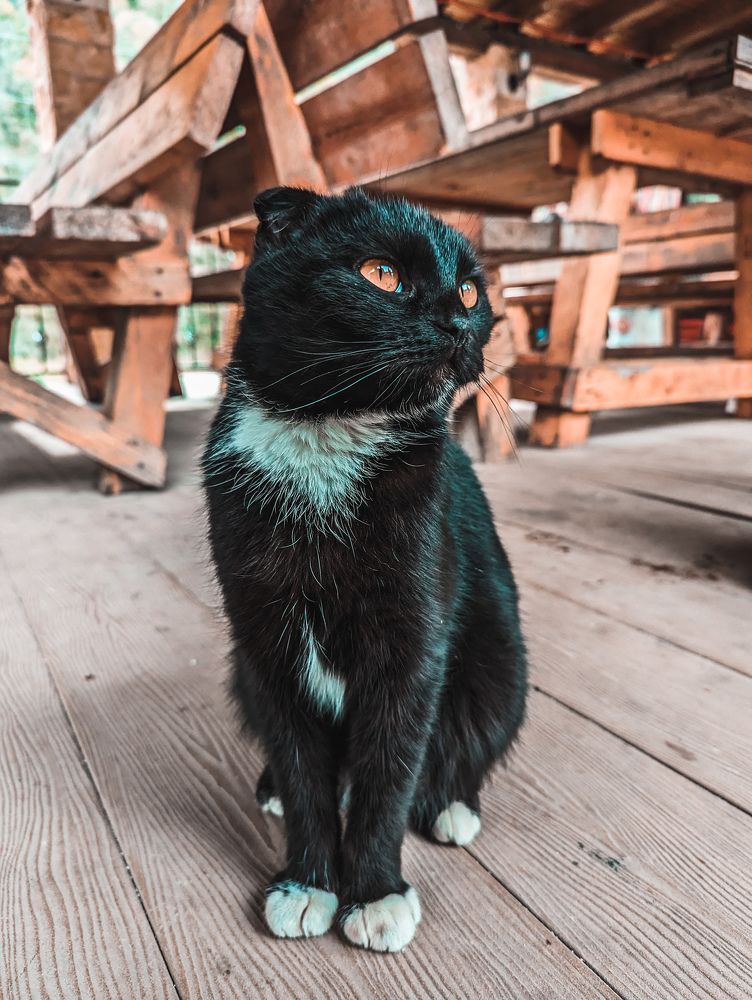 Photograph by Андрей Амбеталь