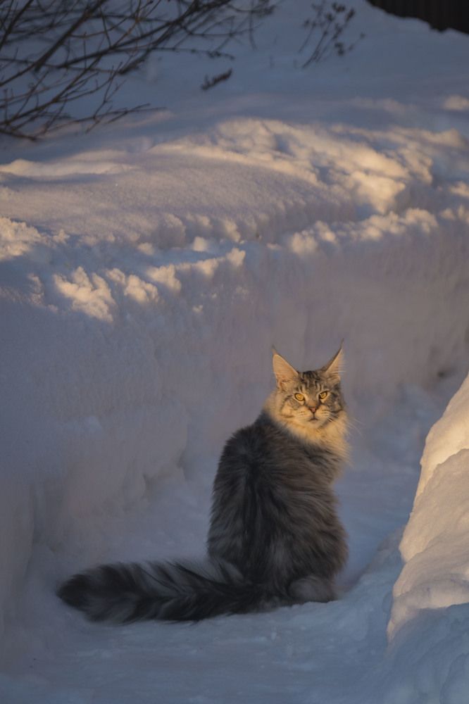 Photograph by ИРЕНА Цурпал