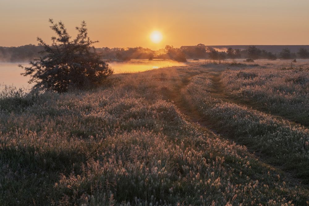 Фотография автора Шипунова Ирина