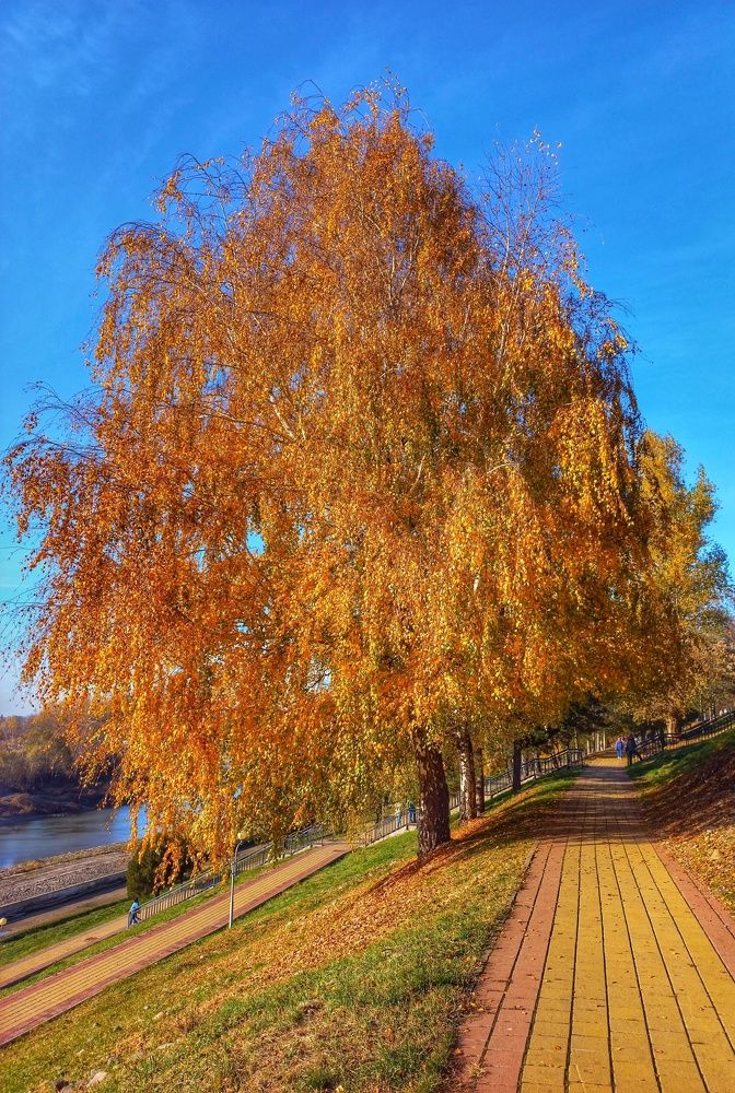 Photograph by Юлия Коробкова