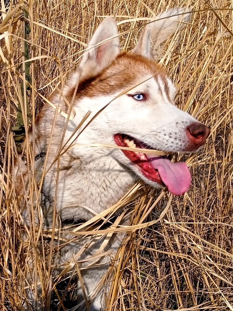 Photograph by Наталья Назаренко