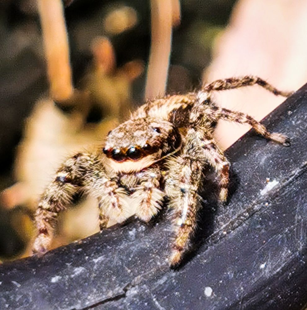 Photograph by Nikolett Mengyi