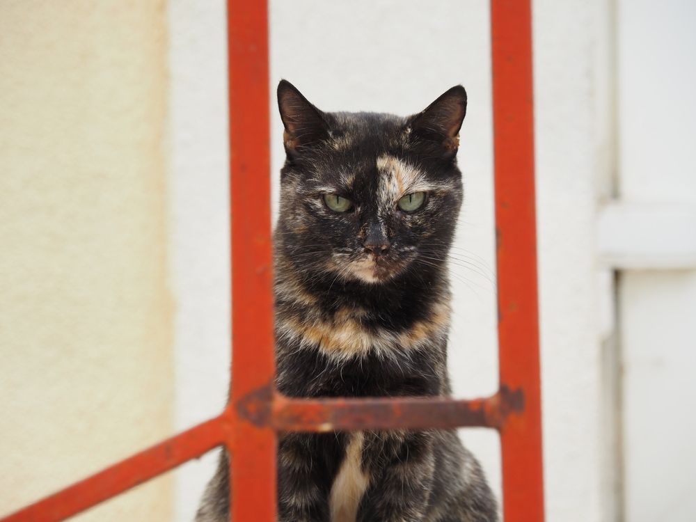 Photograph by Сергей Борисов