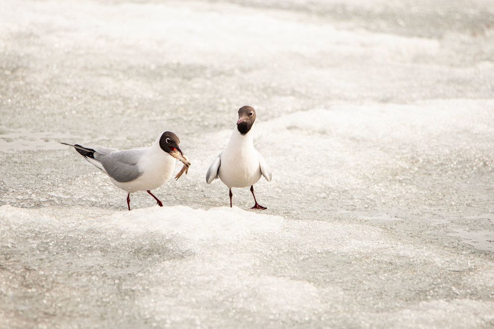 Фотография автора Анна Абрамова