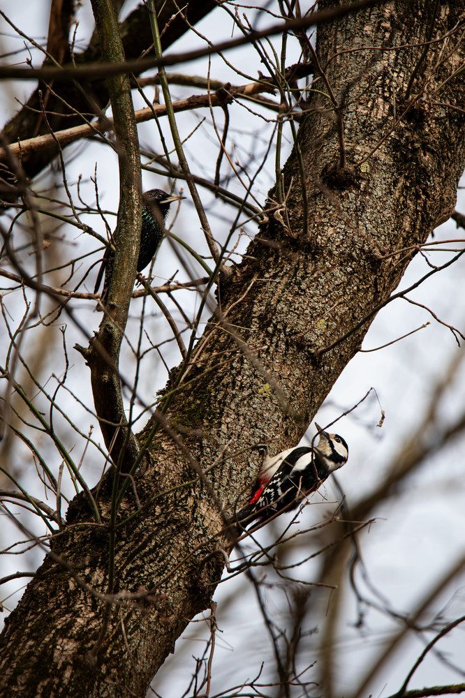Фотография автора Анна Абрамова