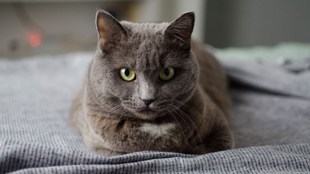 Photograph by Илья Желдак