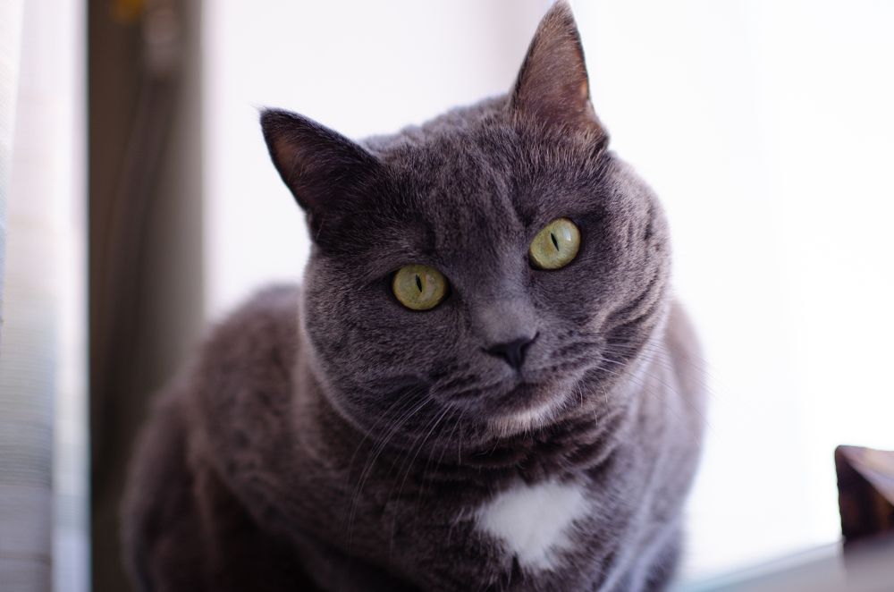 Photograph by Илья Желдак