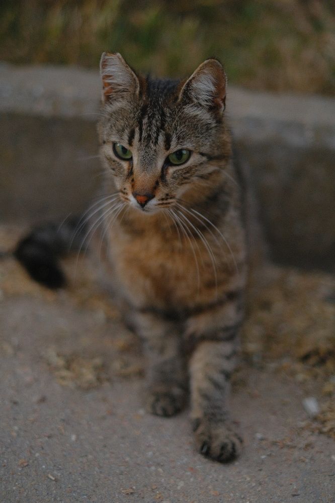 Photograph by Илья Желдак