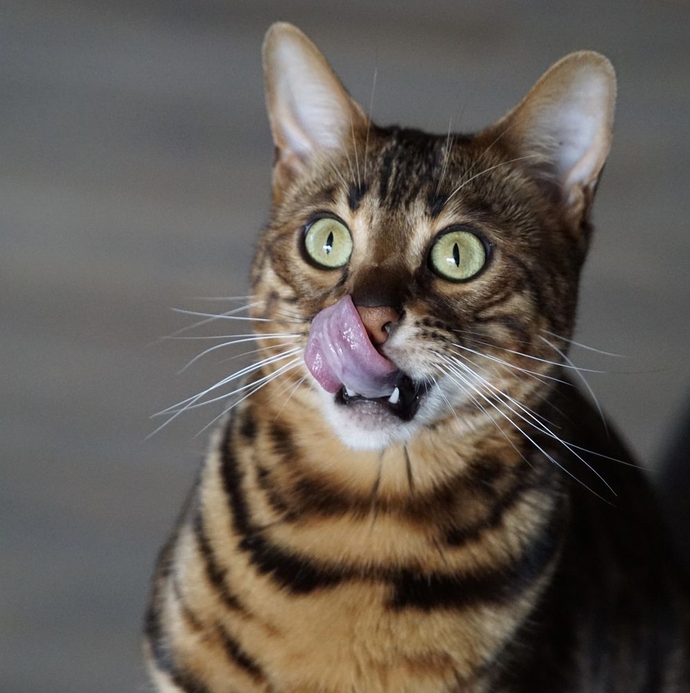 Фотография автора Liudmila Kiermeier