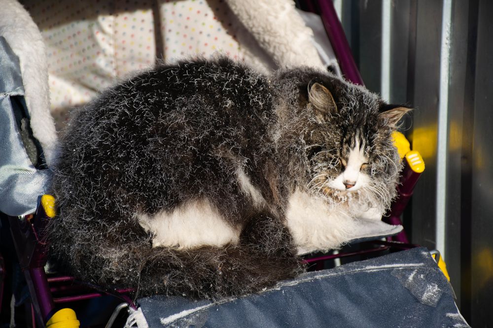 Photograph by Ольга Одинцова