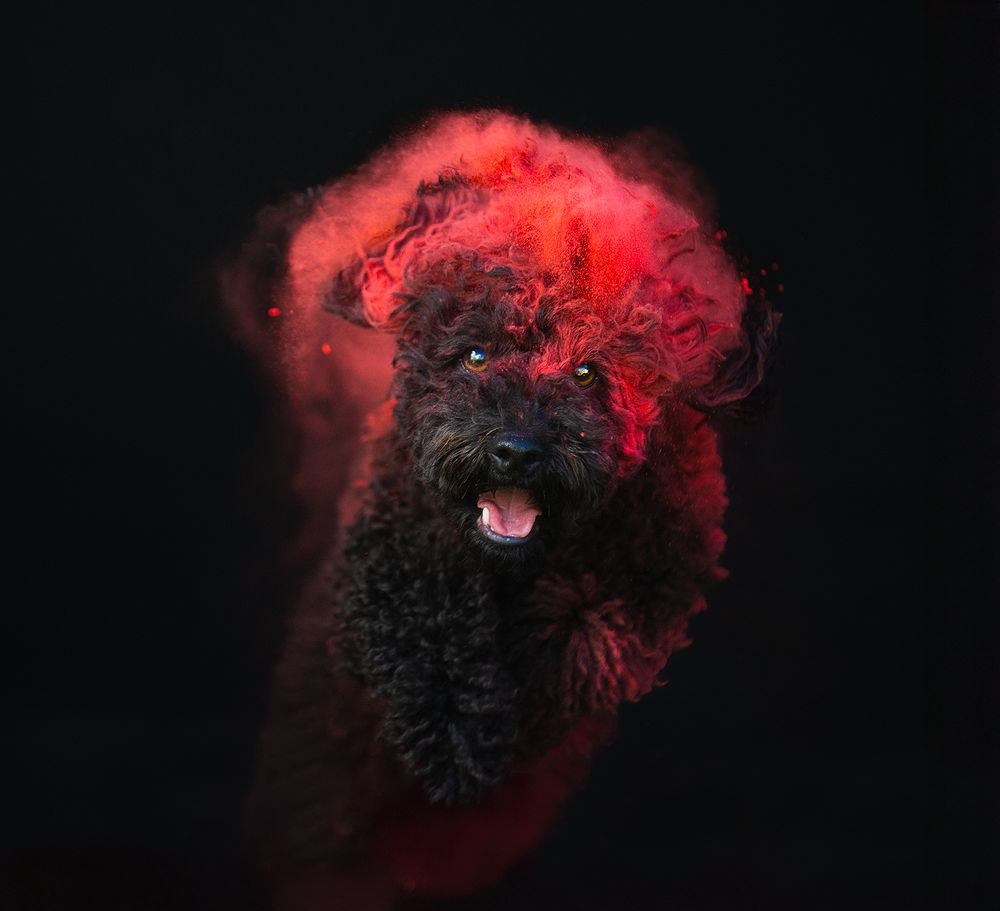 Photograph by Noa Táboas