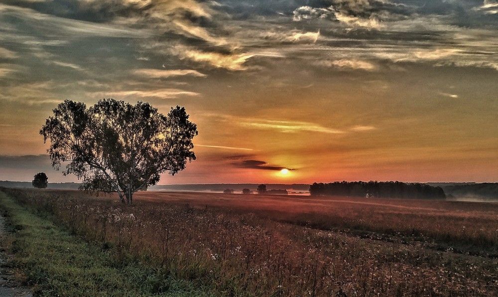 Photograph by Николай Останин