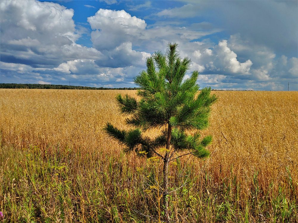 Photograph by Николай Останин