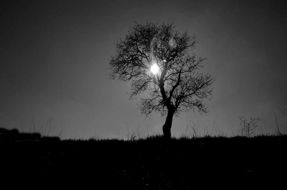 Фотография автора Ibrahim Alkan