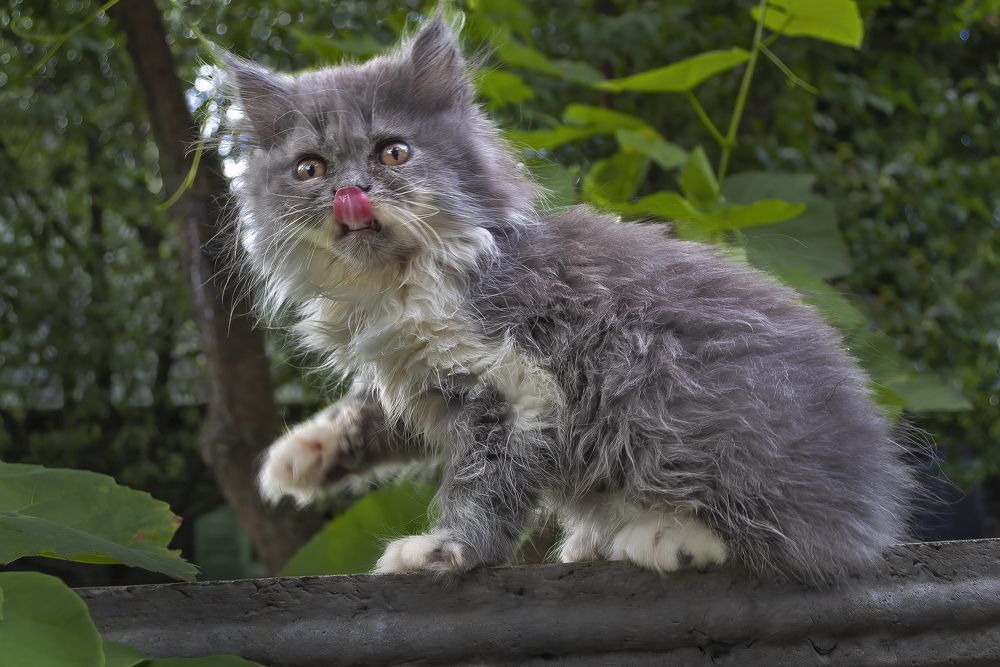 Photograph by Евгений Лимонтов