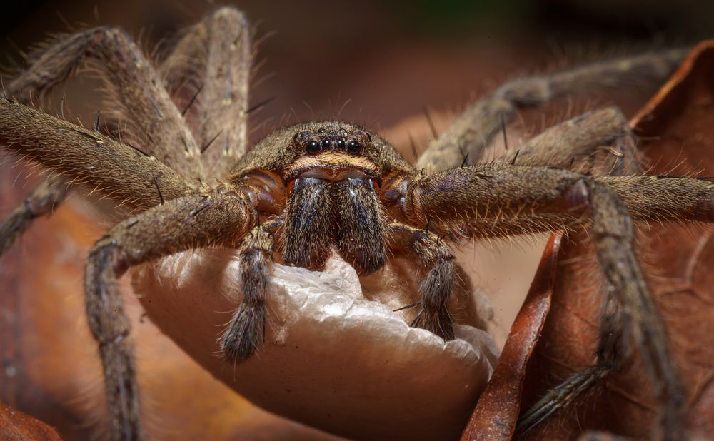 Photograph by Савин Андрей