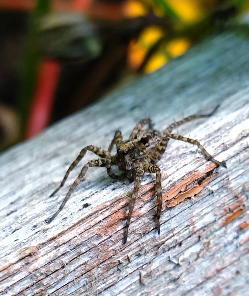 Photograph by Ольга Заповедная