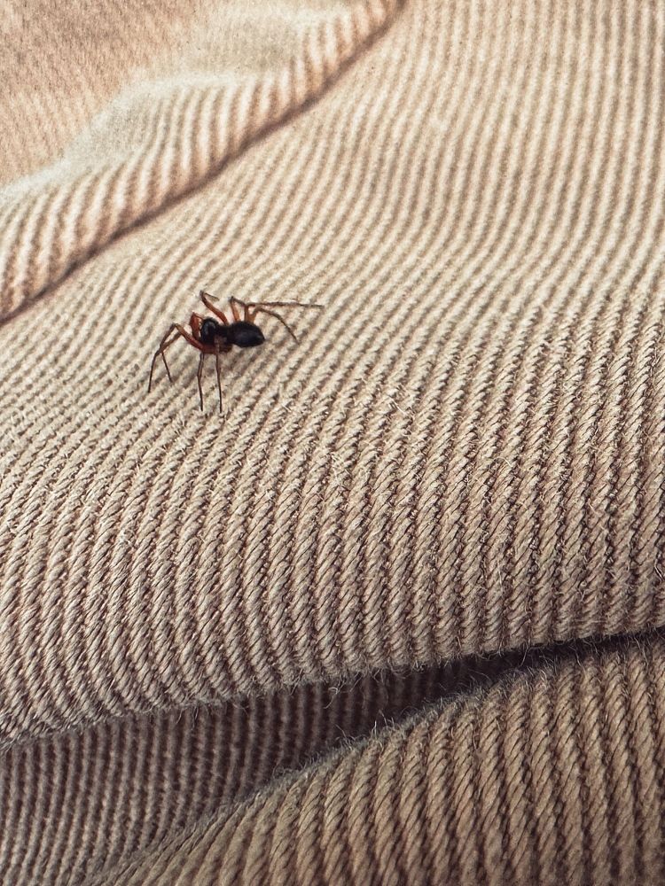 Фотография автора Елена Поживилко