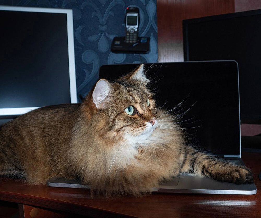 Photograph by Александр