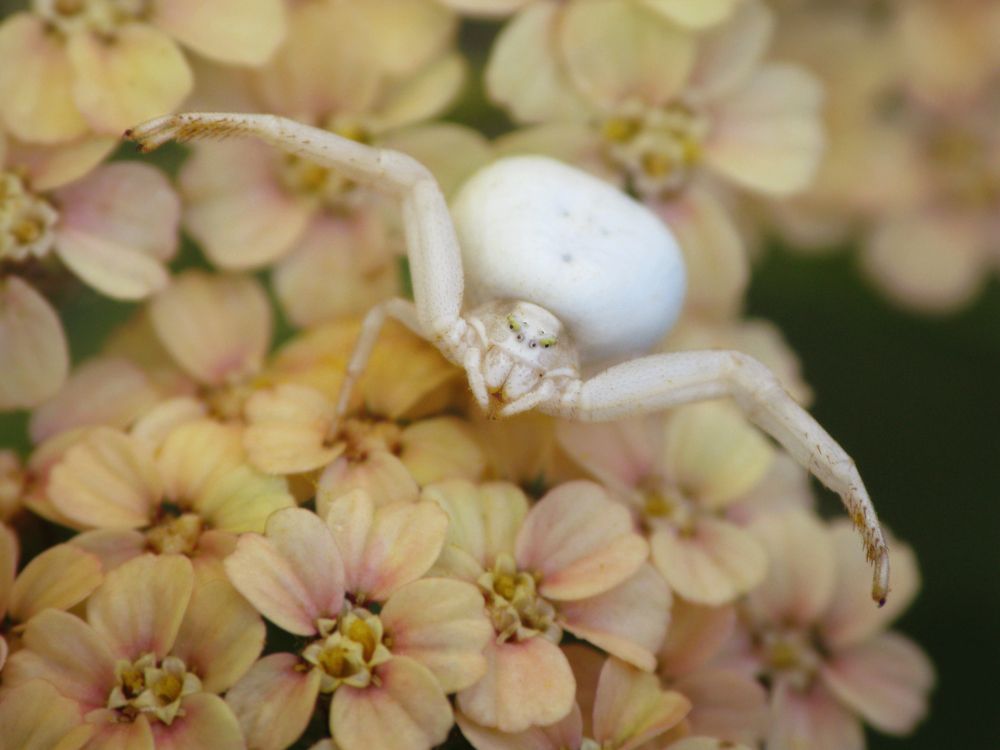 Photograph by Юлия Микульская