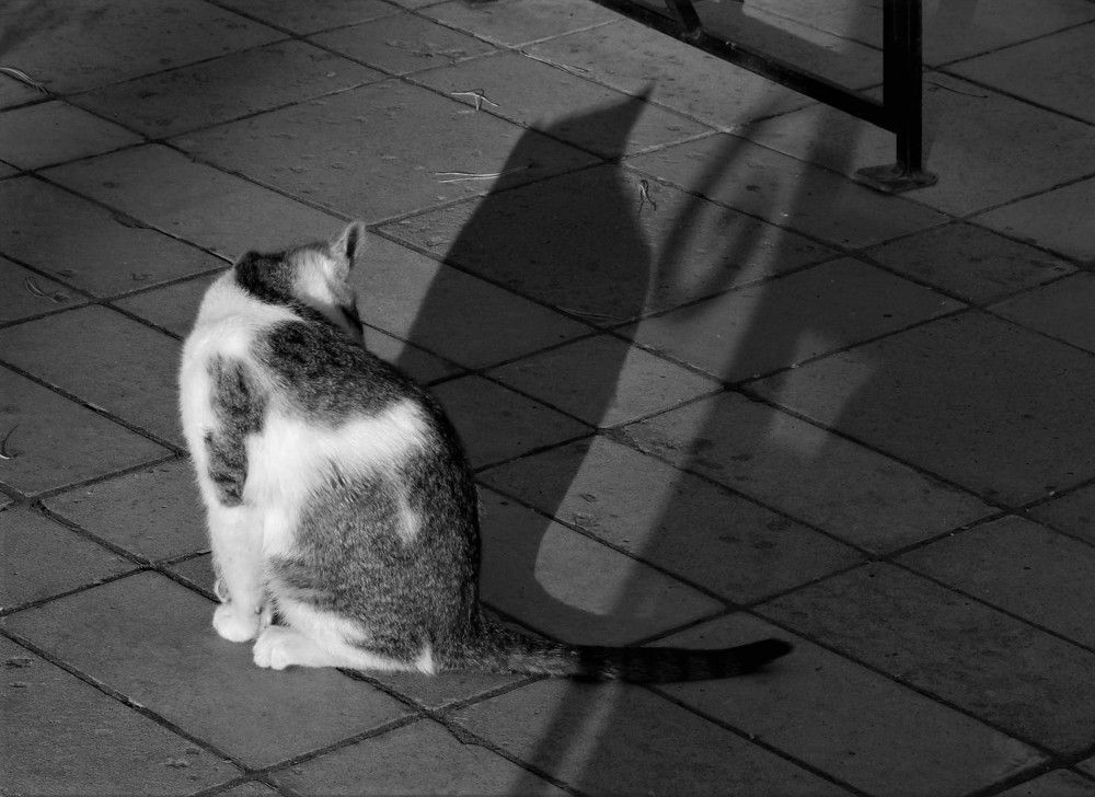 Photograph by Ирина Самойленко