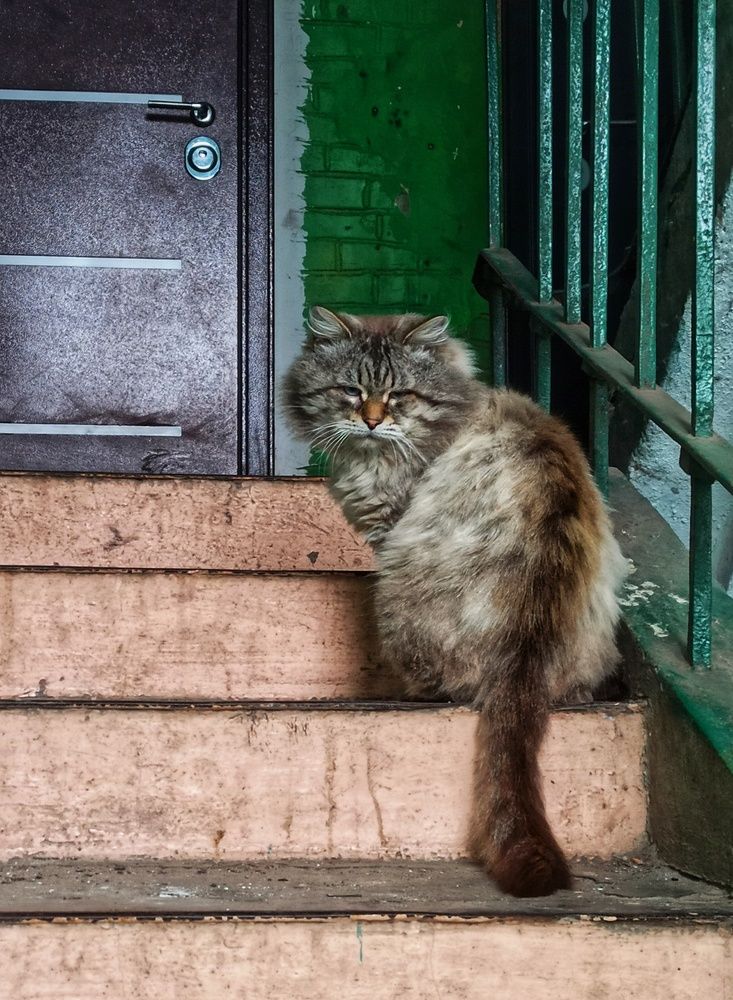 Photograph by Новикова Елена Сергеевна