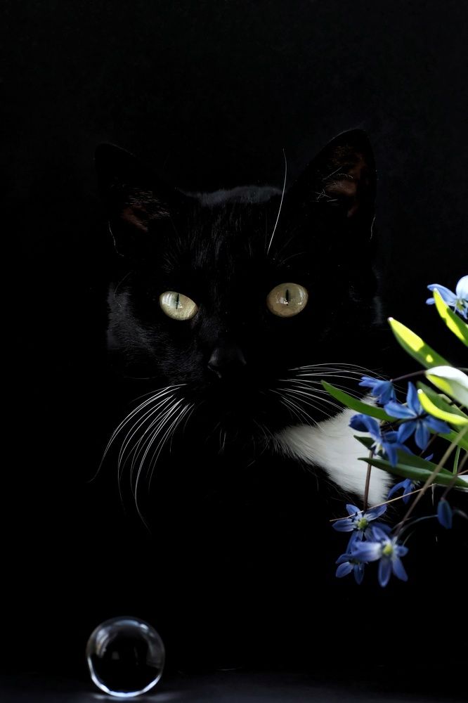 Photograph by Olga Asson