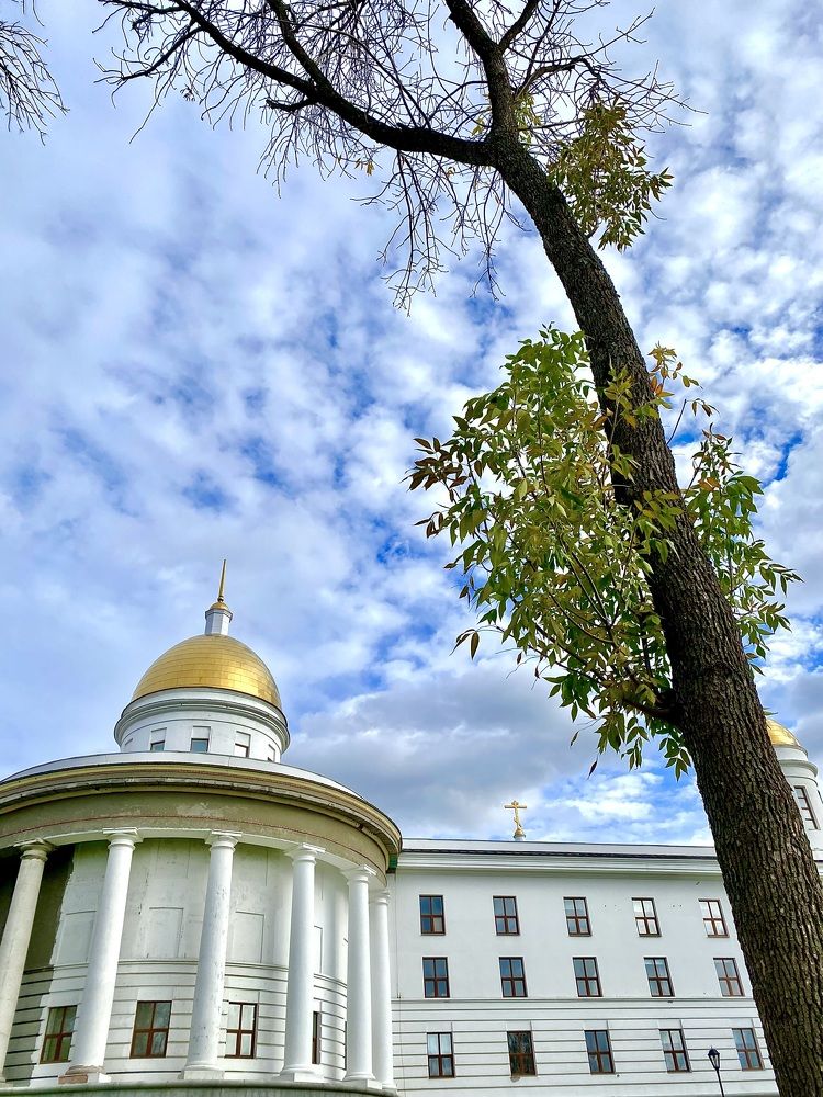 Фотография автора Gala Timaeva