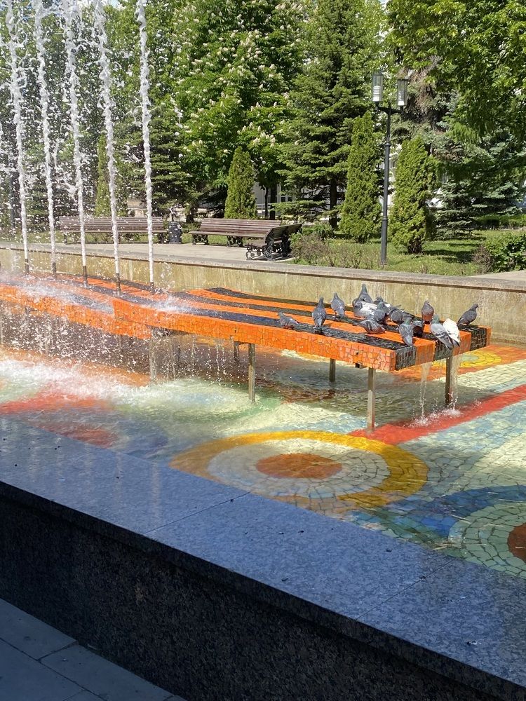 Фотография автора Gala Timaeva