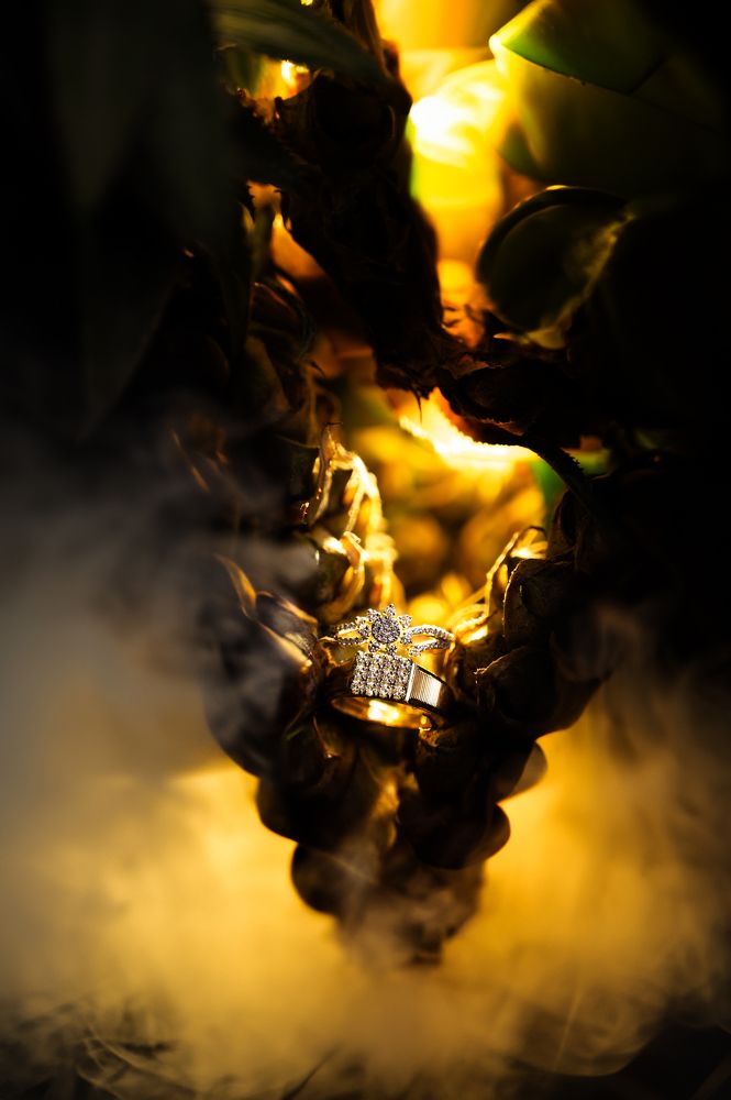 Photograph by SAITEJA K