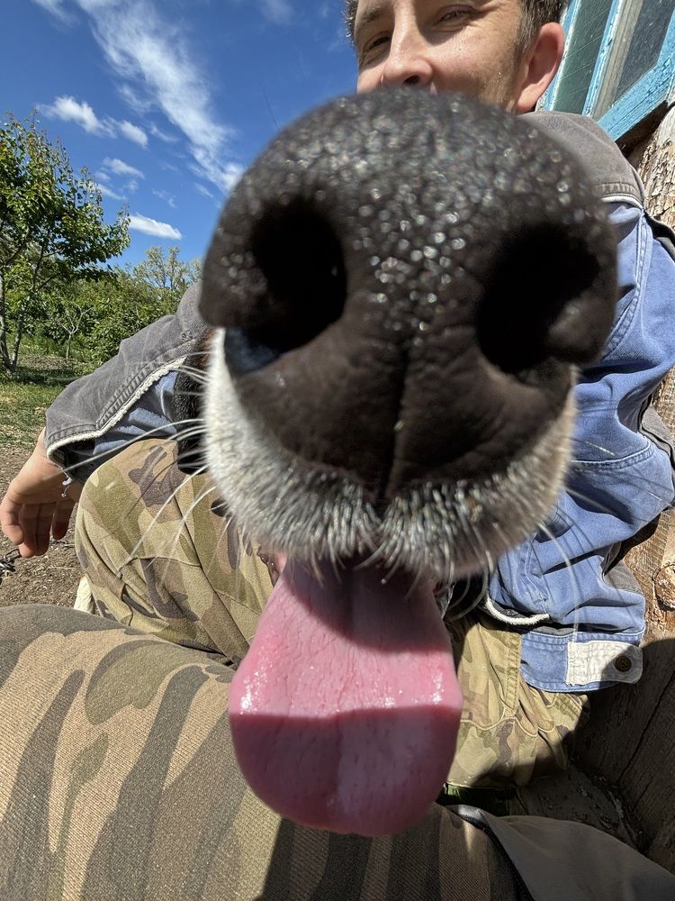 Photograph by Наталья Ключинская