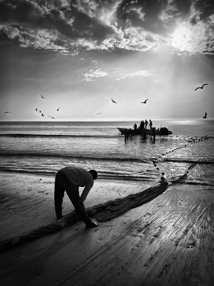 Photograph by Svetlana Rashidova