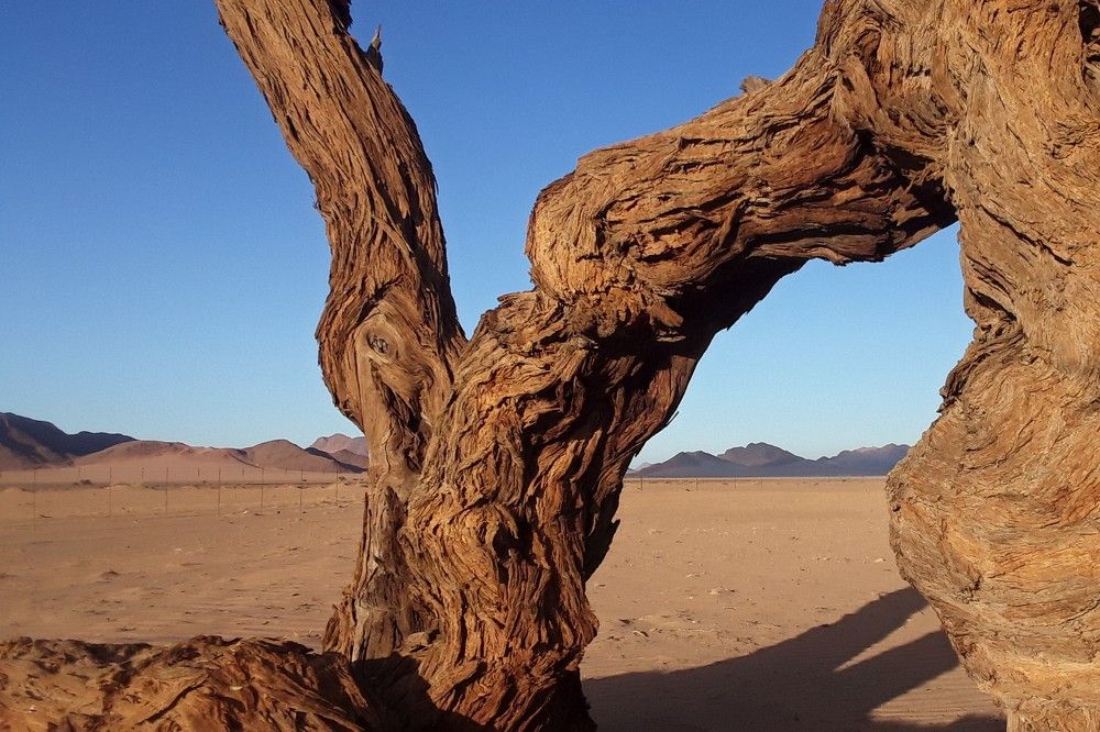 Фотография автора Grant Botha