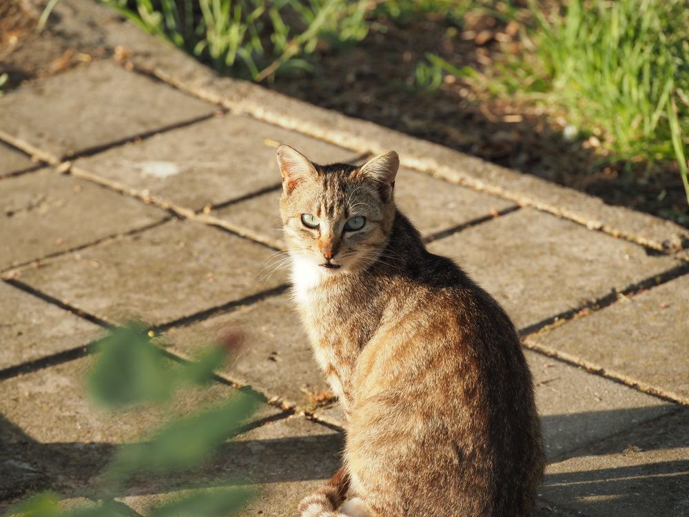 Photograph by Сергей Борисов