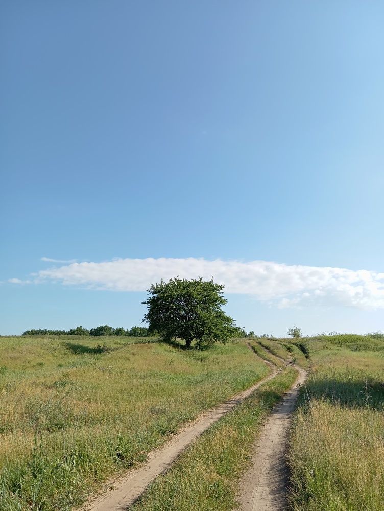 Photograph by Елена Коробченко