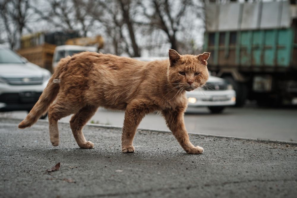 Photograph by Иванов Виктор