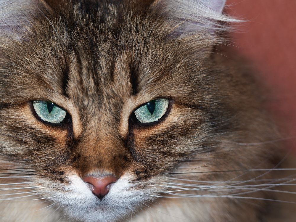 Photograph by Александр Пименов