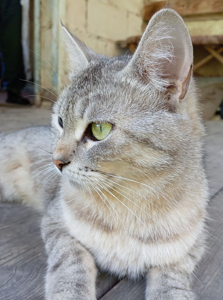 Photograph by Елена Коробченко