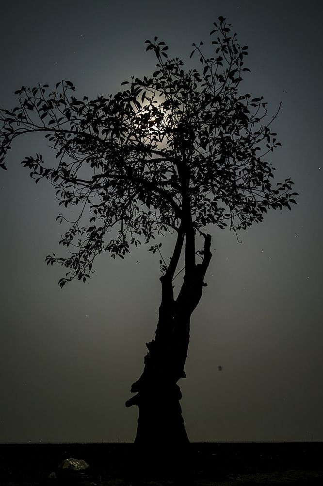 Photograph by Khandaker Azizur Rahman