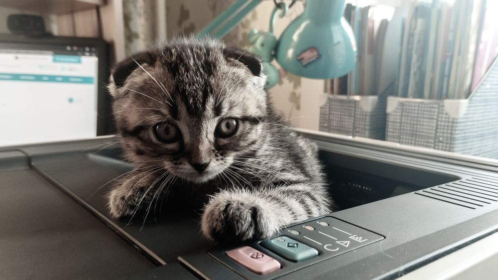 Photograph by Ксения Моськина