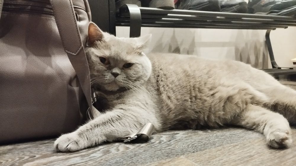 Photograph by Ксения Моськина