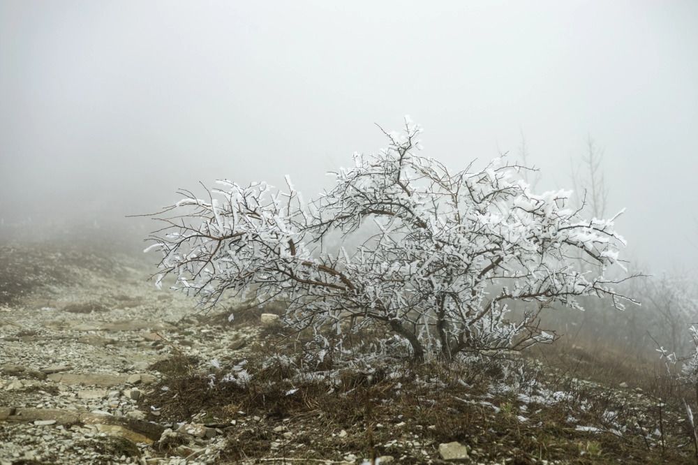 Photograph by Елена Саливон