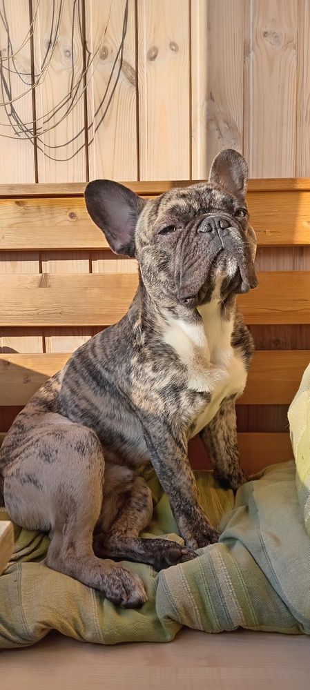 Фотография автора Геннадий Коробов