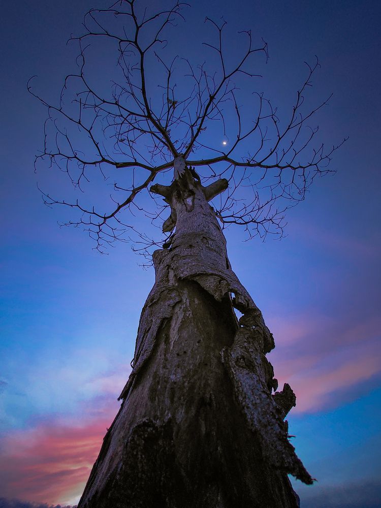 Photograph by Ivan Maulana